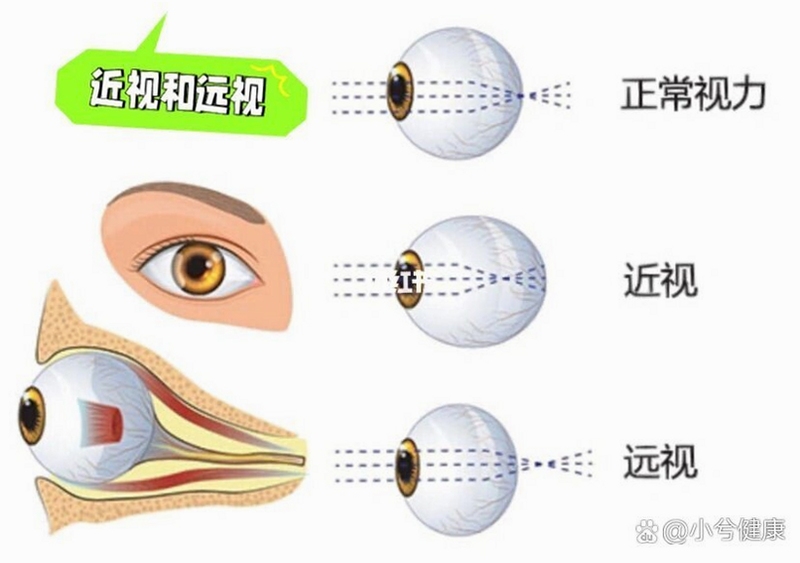 驰云远视 使用方法 教程视频