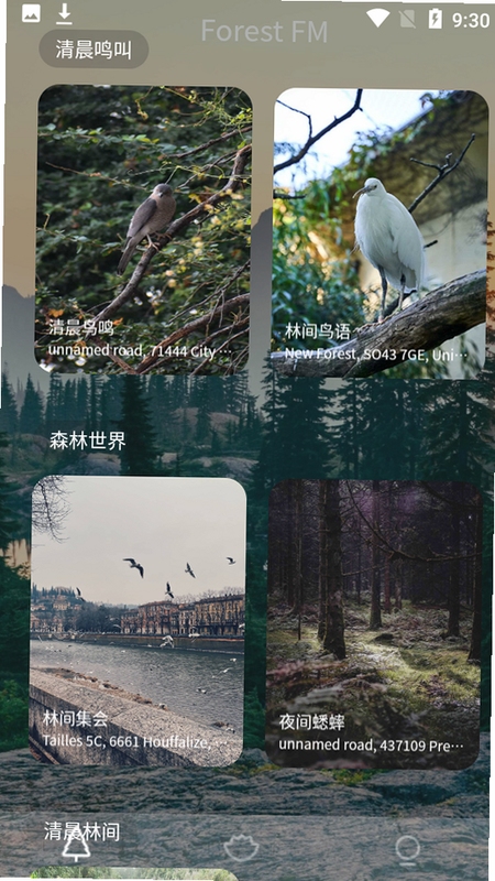Natural Wind ������ ���� ���� ��ͼ