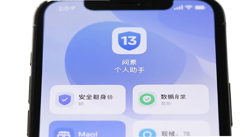 一张手机屏幕特写,屏幕上清晰显示13网络身份个人助手的主界面,界面风格简洁现代,背景为柔和的蓝紫色渐变,主体图标位于屏幕中央偏上位置,下方排列着几个卡片式功能模块,画面干净明亮,突出安全与便捷感,整体构图以手机为中心,周围留白