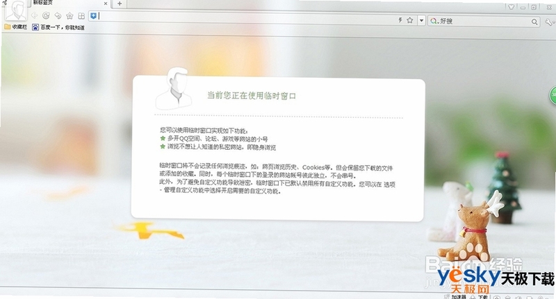 极速云浏览器隐私防护模式设置界面