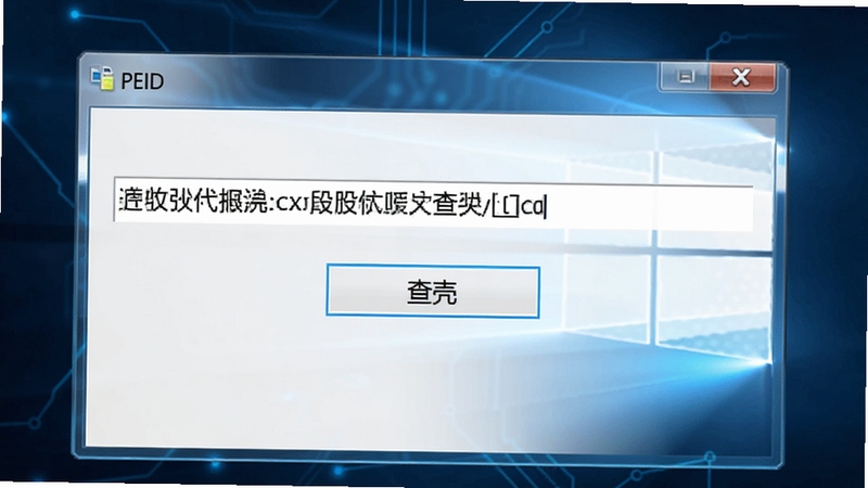 PEID ����������Ԥ��ͼ������չʾһ������ Windows ��񴰿ڣ��м���ʾ�ļ�·���롰��ǡ���ť������Ϊǳɫ�Ƽ�����������������������������רҵ���׶����ʺ���������վչʾ��