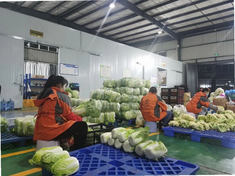 批菜集采 安装教程