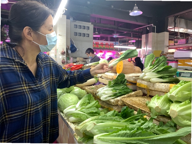 批菜集采 供货商 怎么找