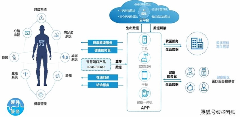 健康管理1+1数据备份教程
