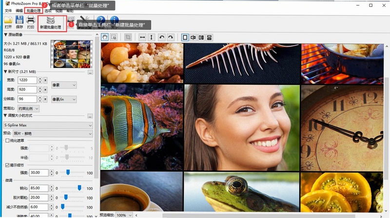 PhotoZoom Pro ʹ�ý̳̽����ͼ