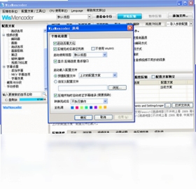 WisMencoder 字幕设置