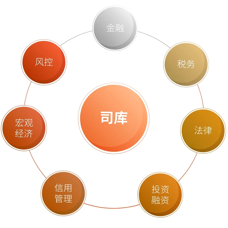 数智司库 安全 加密 防护
