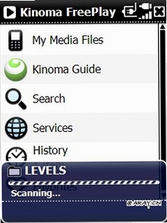 Kinohana 播放器 设置界面 截图