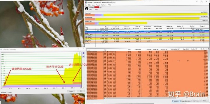 VMMap ʹ�ý̳� �ڴ����
