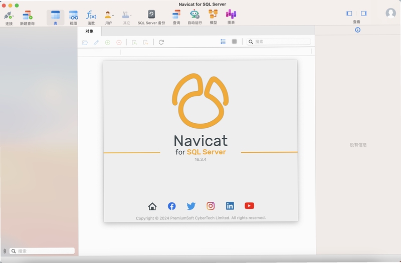 Navicat for SQL Server ��ѯ�༭�� ����
