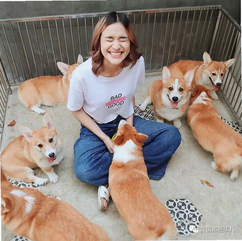 Navicat Report Viewer ʹ�ý̳�