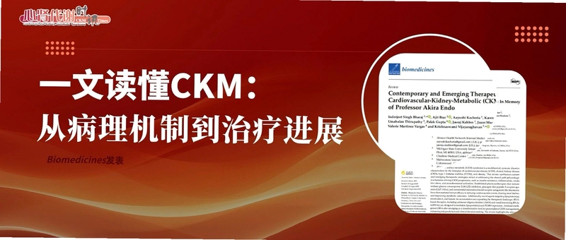 心肾代谢时讯 医学资讯 下载页面截图