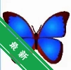 bkViewerͼƬ�����v5.6.0 ������ͼ��EXIF�鿴����