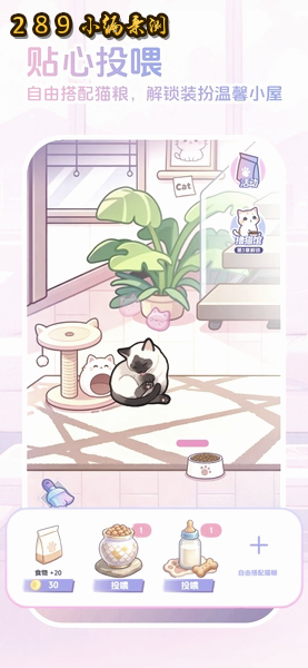 ����С�ݹٷ����ؽ�ͼ