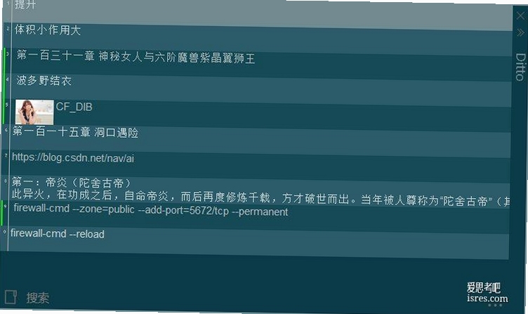 Ditto 剪贴板 历史记录 软件界面