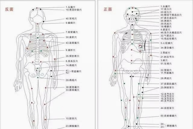 素灵新解 经络穴位图