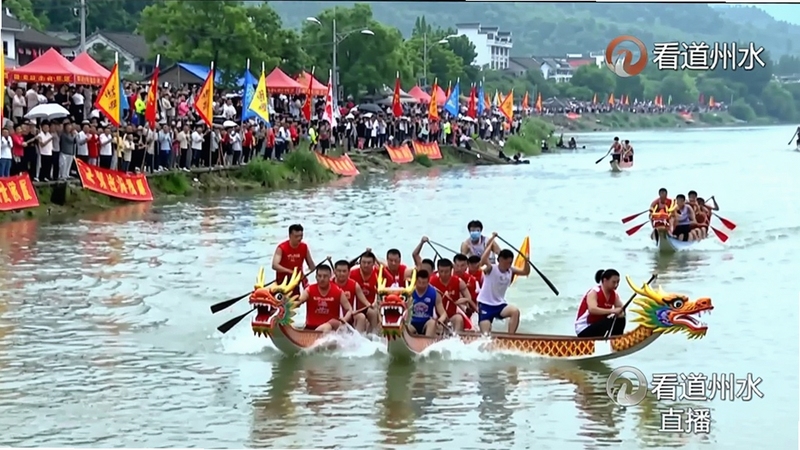 看道州龙船赛直播画面截图,展示江上龙舟竞渡的激烈场景,岸边观众人山人海,画面色彩鲜艳,带有看道州水印标识,突出赛事直播氛围。