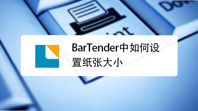 BarTender �Զ���ֽ�Ŵ�С�̳�