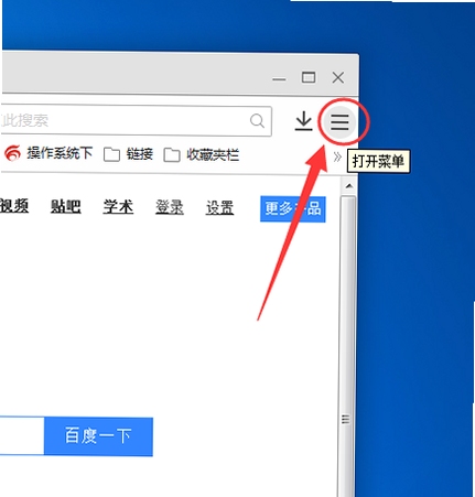 手心浏览器 设置 高级选项