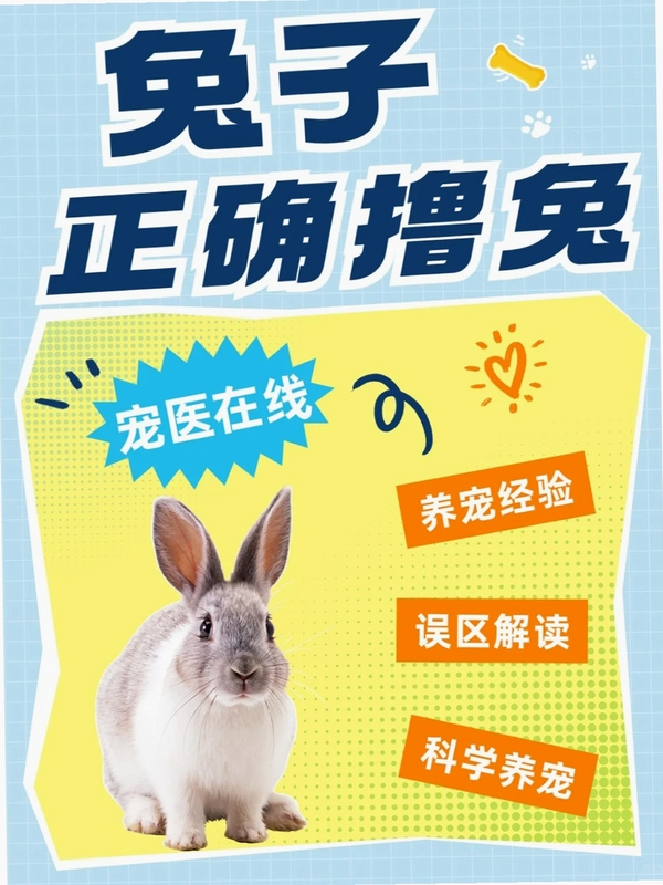 拜托了兔子 新手教程