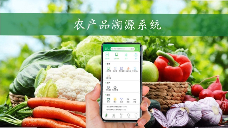 农品通 使用 技巧