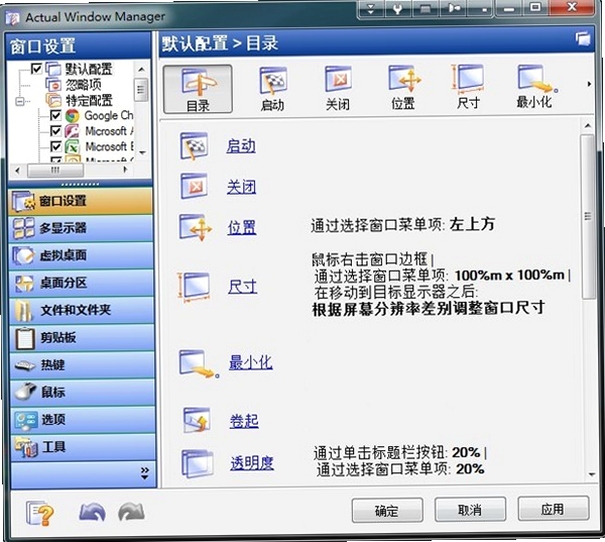 Actual Window Manager 安全检测