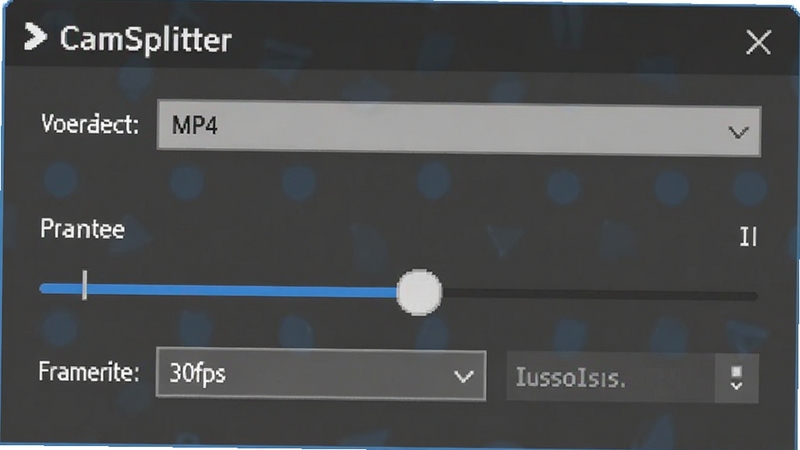 CamSplitter 录制设置面板截图,画面中显示视频格式选择为 MP4,比特率调节滑块位于中间位置,帧率选项标注为 30fps,背景为浅色软件界面,整体布局清晰易读,适配 Boogu 模型生成