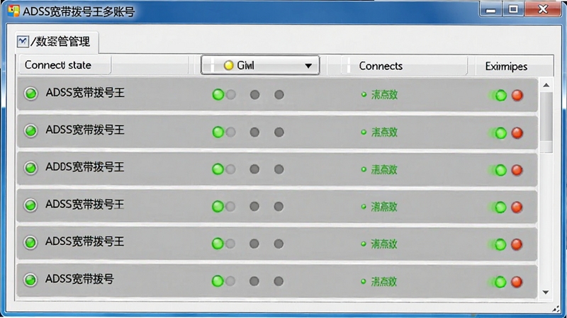 ADSL�������������˺Ź������棬��������Ϊ��������������������˺��б���ÿ����Ŀ��������״ָ̬ʾ�ƣ�����Ϊǳ��ɫ��������������������������ݹ������