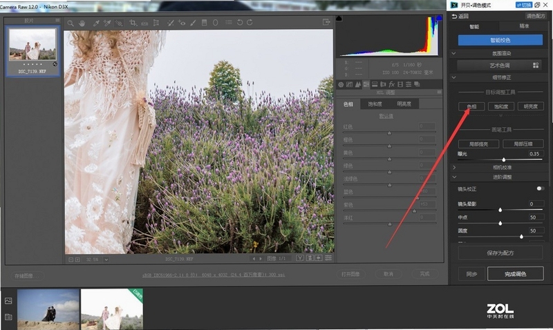 Fotografix ��ɫЧ��