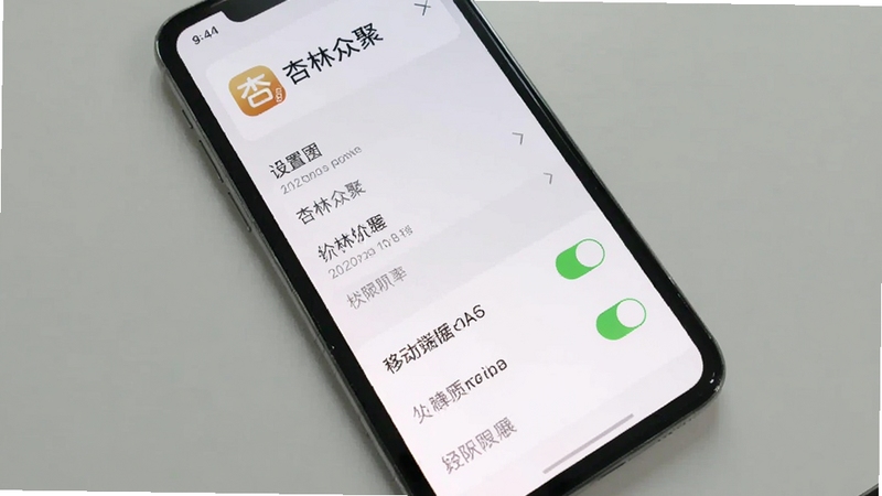 杏林众聚 移动端操作界面截图,画面主体为手机屏幕显示设置菜单与权限开关,背景区域为简洁的浅灰色桌面,光线均匀,风格扁平化,屏幕内可见杏林众聚图标与文字