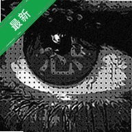 �־� TERRORv1.0 ����ʽ�ֲ�̽��