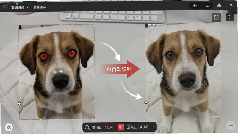宴遇消红智能红眼消除功能演示图,画面左侧为带有明显红眼的宠物照片,右侧为消除红眼后的自然效果,中间以箭头连接并标注“AI自动识别”字样,背景为浅灰色工作台面,整体呈现专业修图软件的操作界面风格