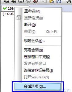 SecureCRT ��������������