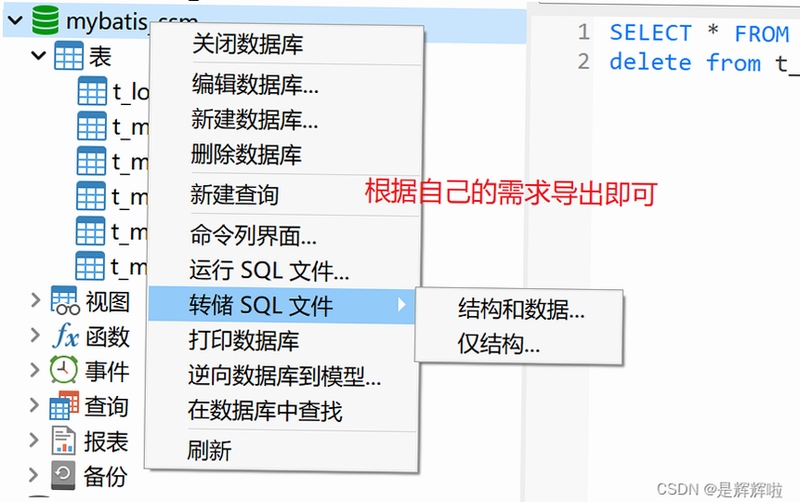 SQL���ݿⱸ�ݻָ����� ʹ�ý̳�