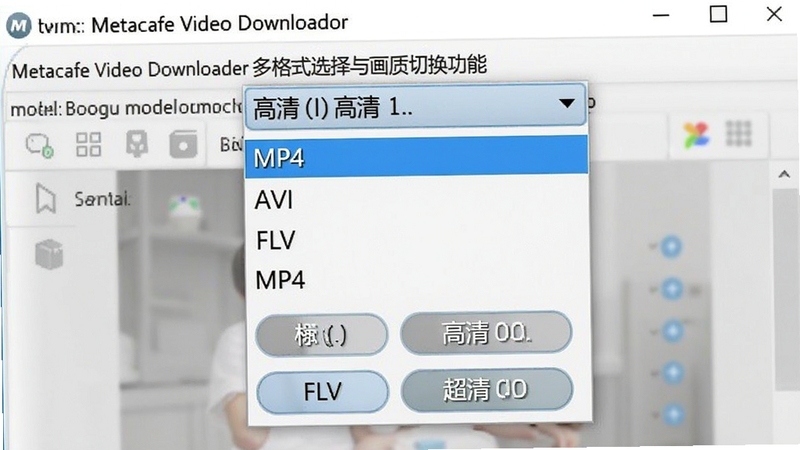 Metacafe Video Downloader 多格式选择与画质切换功能界面特写,画面主体展示软件下拉菜单中列出的MP4、AVI、FLV等格式选项以及标清、高清、超清画质按钮,背景为浅灰色工作区,细节清晰可见,适配Boogu模型生成