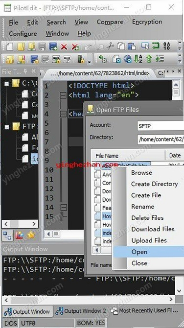 PilotEdit Lite ���ļ��༭����