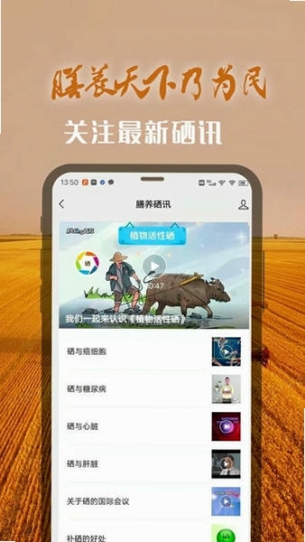 �Ű����°�װȨ�����ý���