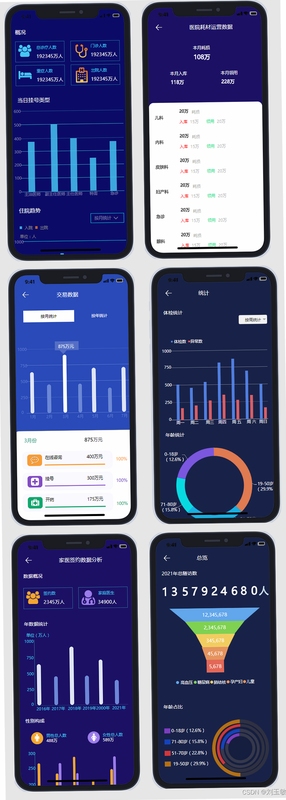 恒手记 数据统计图表界面