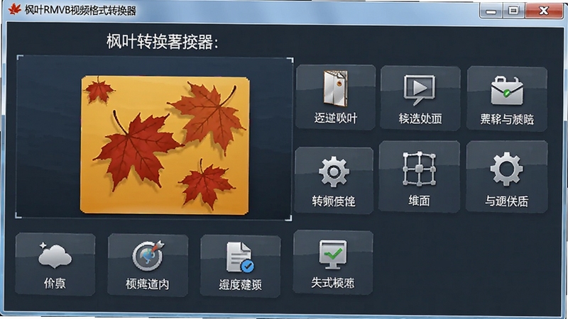 枫叶RMVB视频格式转换器软件主界面功能布局展示图