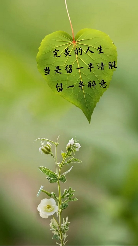 ����������ֽ��