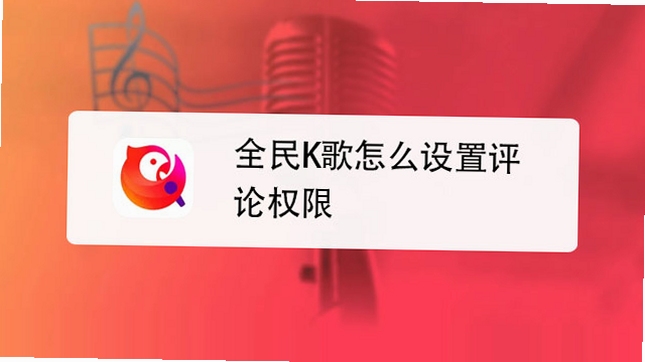 全民音乐唱k安装权限设置界面截图