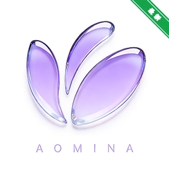 ������AI����v3.1.0 ���ܶԻ����