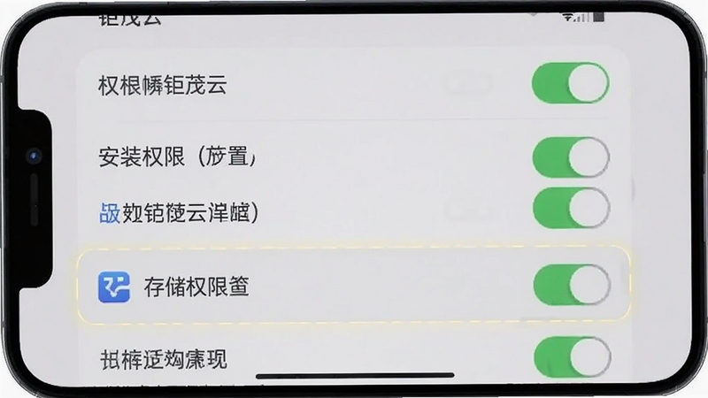 钜茂云 安装权限设置界面 手机屏幕显示权限开关列表 背景为浅灰色 突出存储权限选项 适配Boogu模型生成