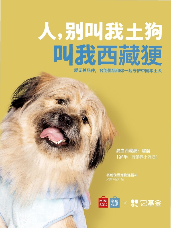 文案狗 收藏