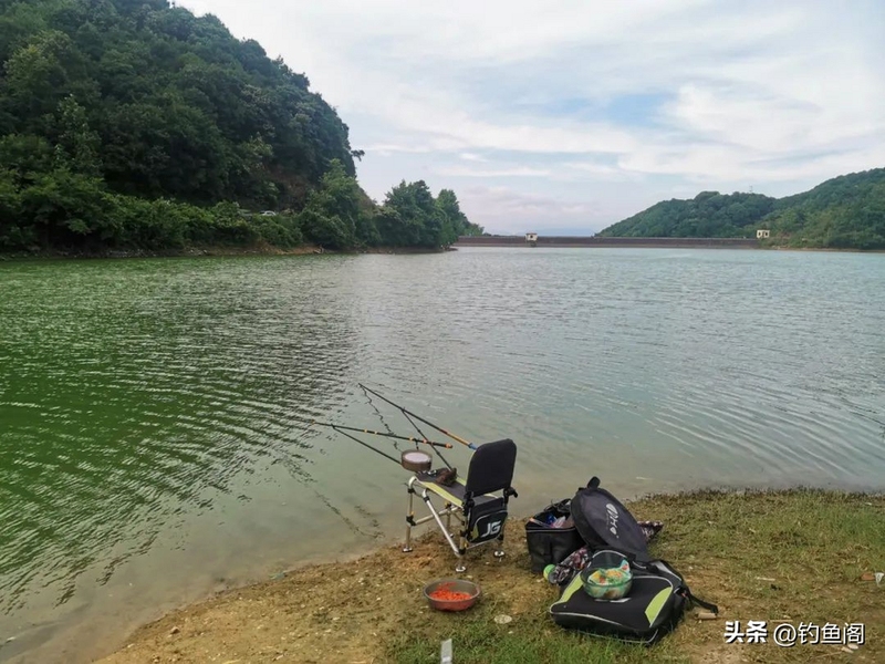 鱼力全开钓鱼 钓点场景
