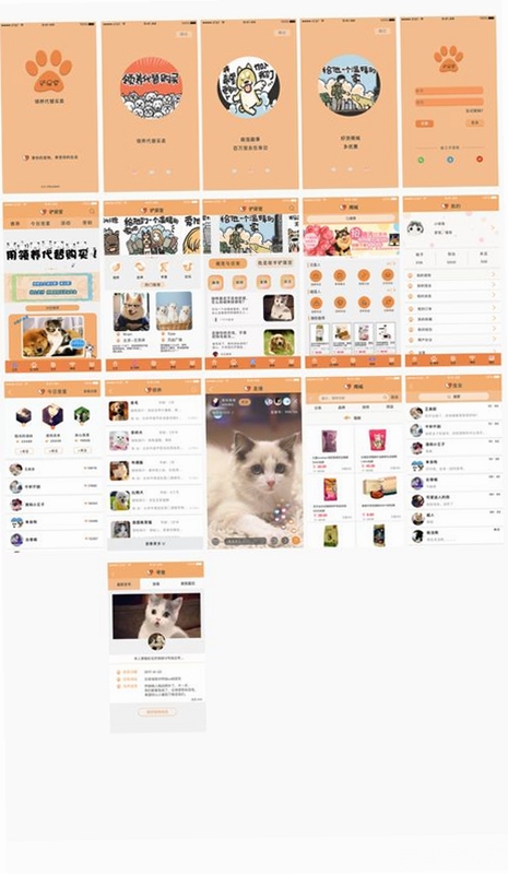 猫咪聊 安装权限设置教程