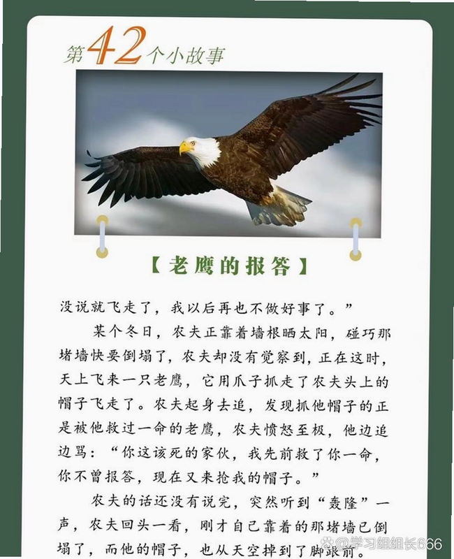 关键词必须包含 {猎鹰拦截},文字可概括整篇文章全部内容,用于搜索配图
