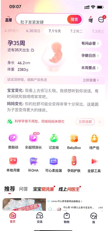 孕妇使用手机查看宝宝树孕育APP界面,温馨居家环境,关键词包含 {宝宝树孕育},文字可概括整篇文章全部内容,用于搜索配图