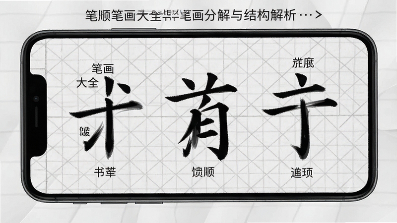 ��˳�ʻ���ȫ�ʻ��ֽ���ṹ�������棬����չʾ�ֻ���Ļ�ں��ֱ����Ϊ����ʻ�������ÿ�������Ա�ע���ƣ�����Ϊǳ��ɫ����ֽ�������������ѧ��ǿ