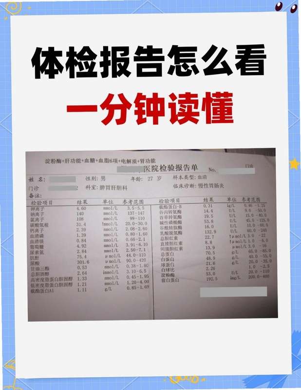 明体检报告解读 使用教程